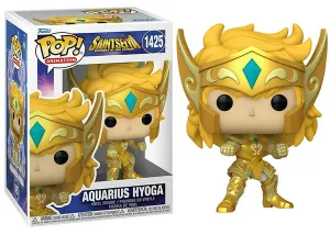 Aquarius Hyoga (Saint Seiya) 1425