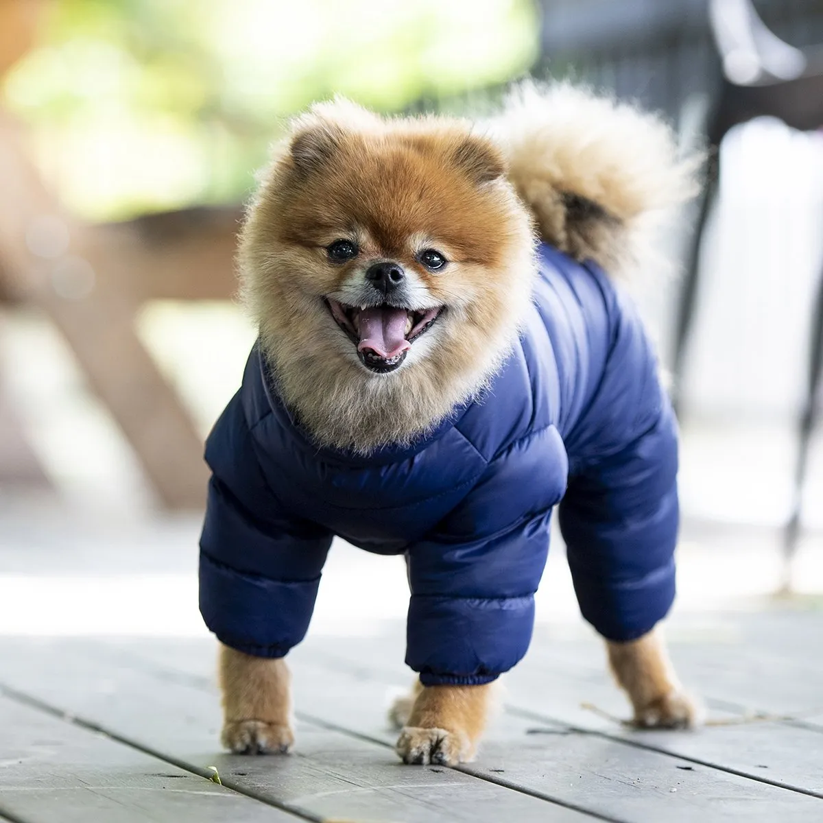 Ultralight Dog Jumpsuit A